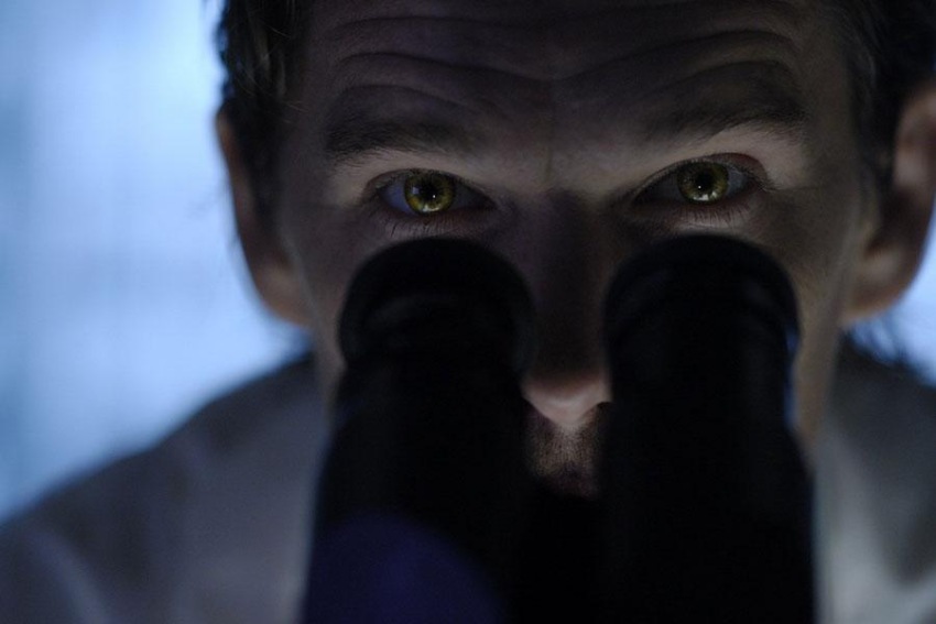 Фото - Воины света: 850x567 / 64.09 Кб