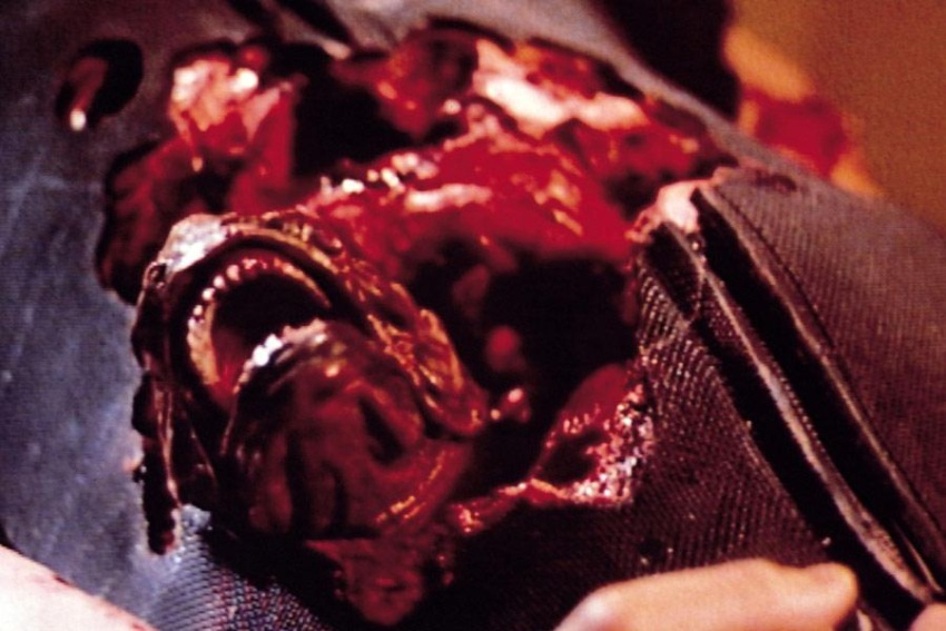 Фото - Пираньи 2: Нерест: 850x567 / 118.04 Кб