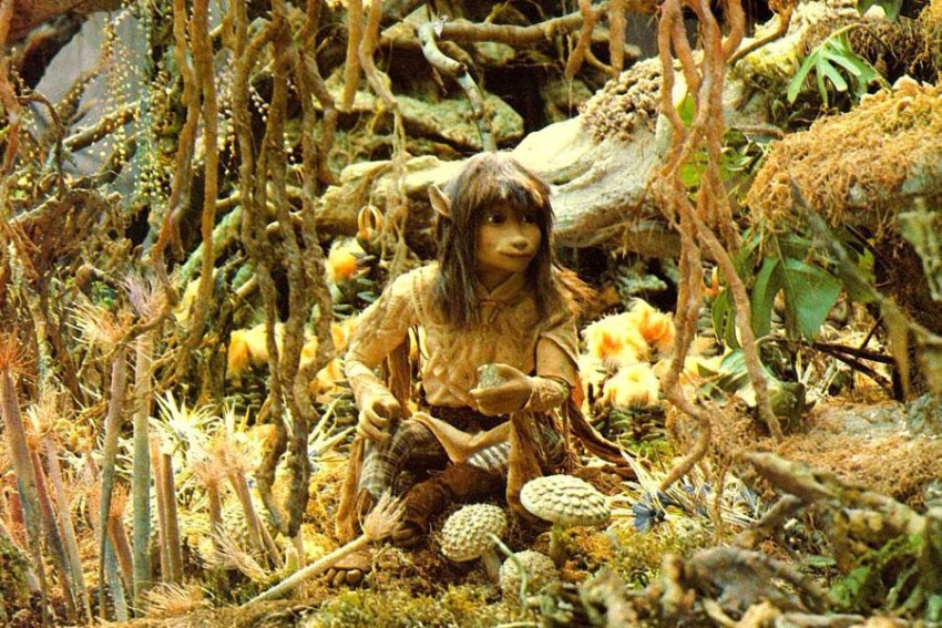 Фото - Темный кристалл: 850x567 / 240.88 Кб