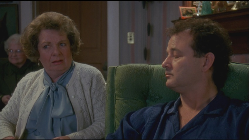 Фото - День сурка: 850x478 / 73.28 Кб