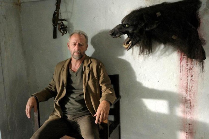 Фото - Быть человеком: 850x567 / 108.62 Кб