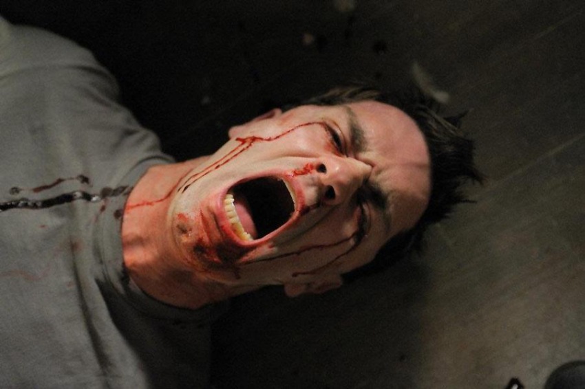 Фото - Быть человеком: 850x566 / 89.57 Кб