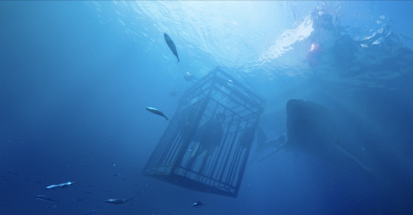 Фото - Синяя бездна: 850x444 / 56.82 Кб