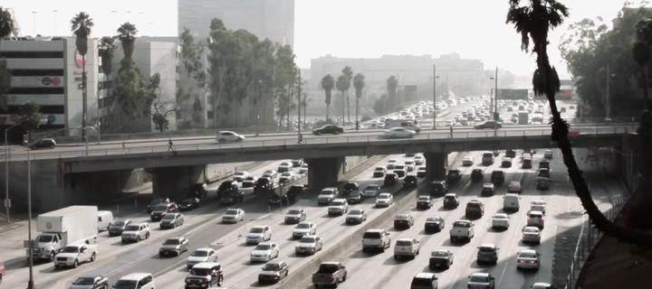Фото - Черный георгин: 720x320 / 315.43 Кб