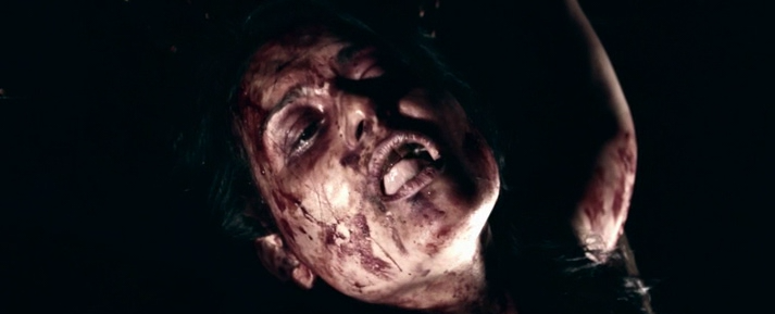 Фото - Черный георгин: 713x289 / 206.14 Кб