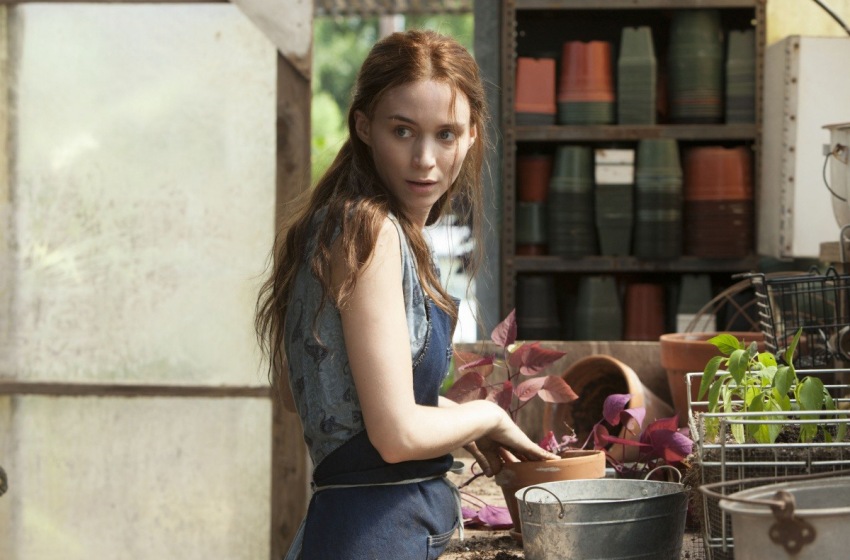 Фото - В бегах: 850x560 / 115.7 Кб