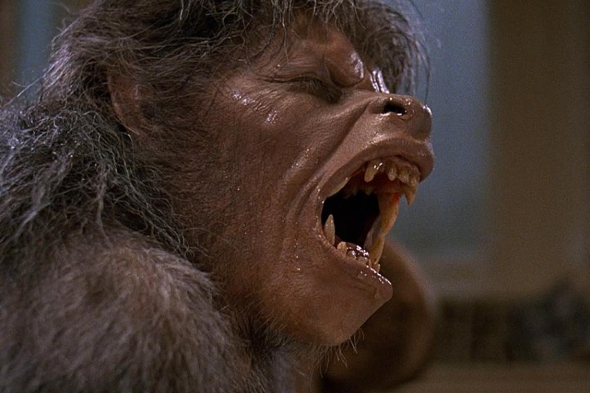 Фото - Американский оборотень в Лондоне: 850x567 / 120.43 Кб