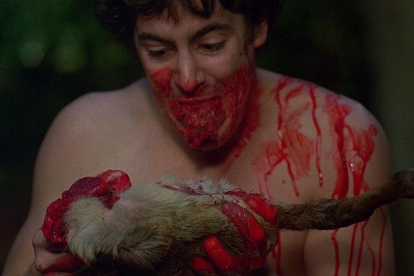 Фото - Американский оборотень в Лондоне: 850x567 / 101.82 Кб