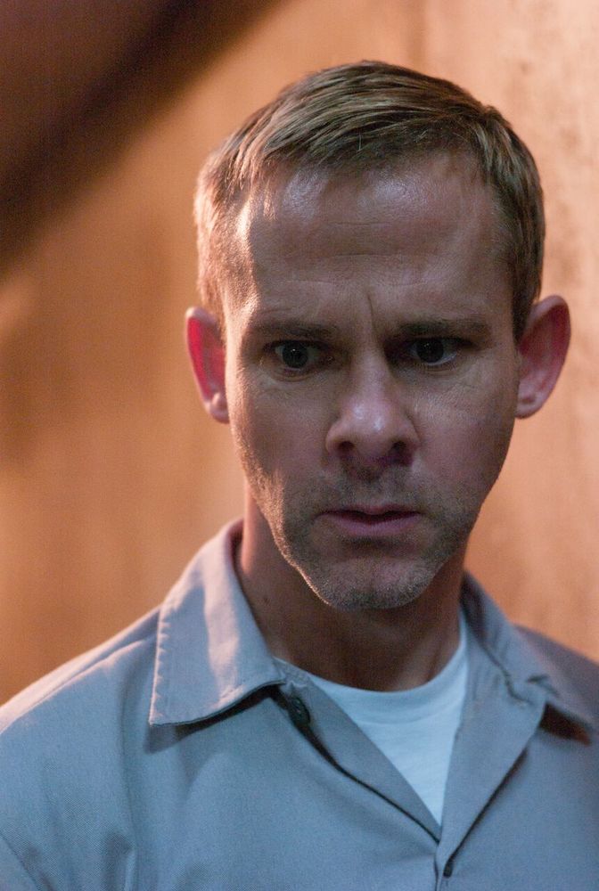 Фото - Питомец: 672x1000 / 85.88 Кб