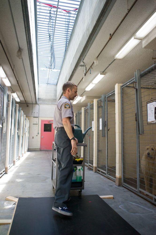 Фото - Питомец: 665x1000 / 112.06 Кб