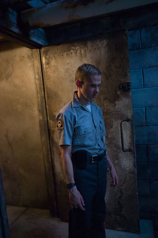 Фото - Питомец: 665x1000 / 73.86 Кб