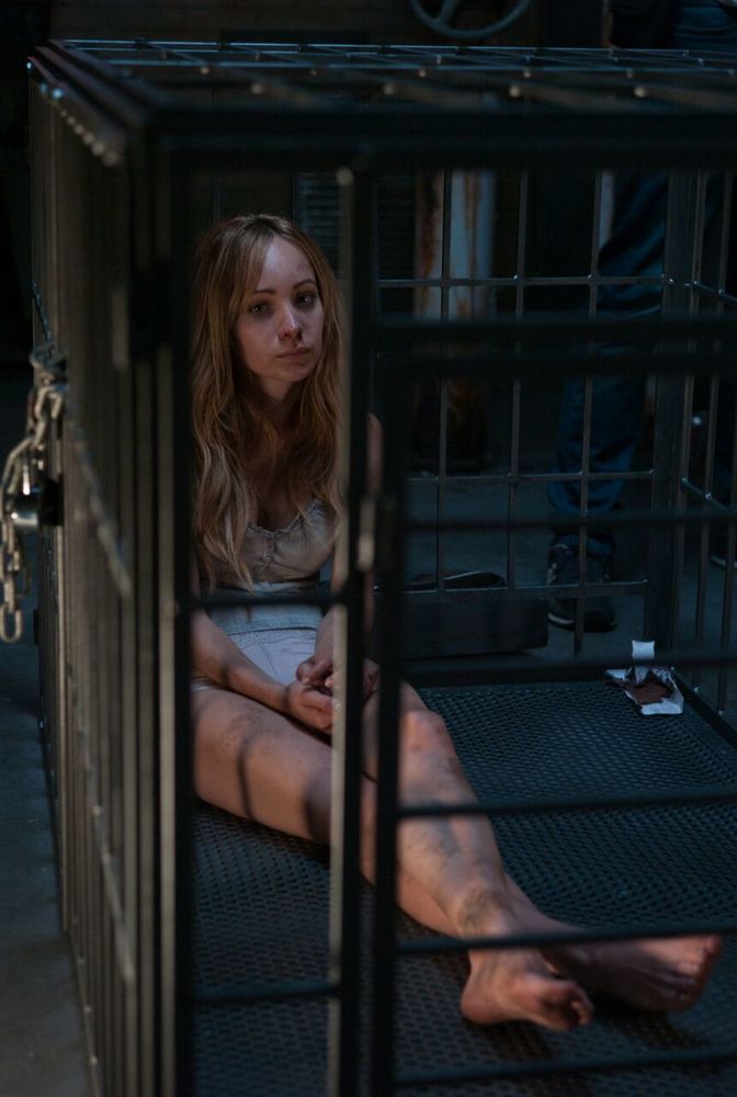 Фото - Питомец: 672x1000 / 68.47 Кб