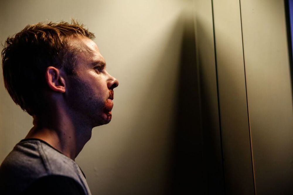 Фото - Питомец: 1000x666 / 45.08 Кб