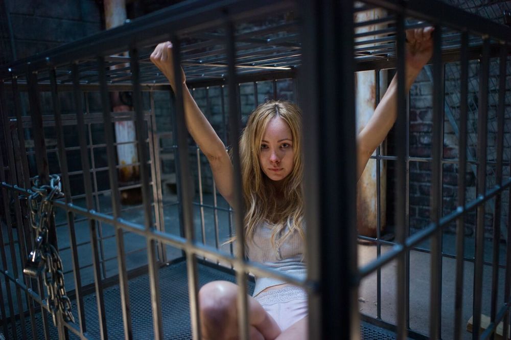 Фото - Питомец: 1000x665 / 85.68 Кб