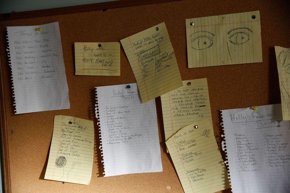 Фото - Питомец: 1000x666 / 104.75 Кб