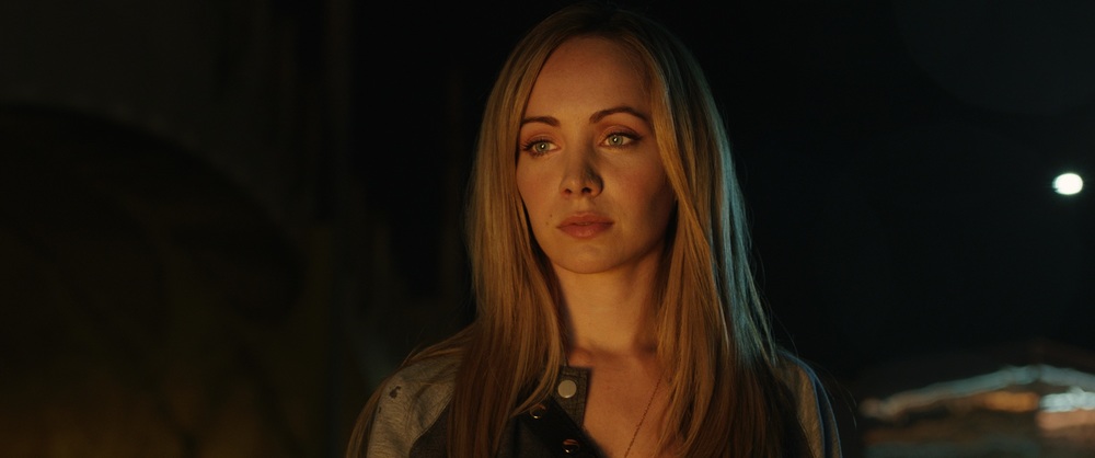 Фото - Питомец: 1000x418 / 57.47 Кб