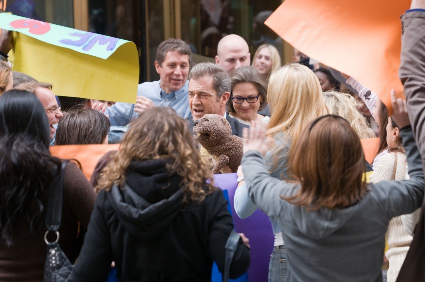 Фото - Бобер: 850x565 / 100.78 Кб