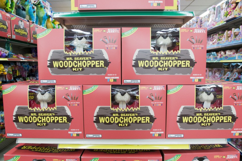 Фото - Бобер: 850x565 / 161.31 Кб