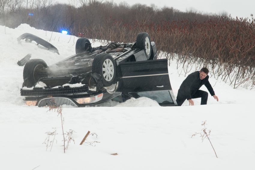 Фото - Черный дрозд: 850x565 / 117.59 Кб