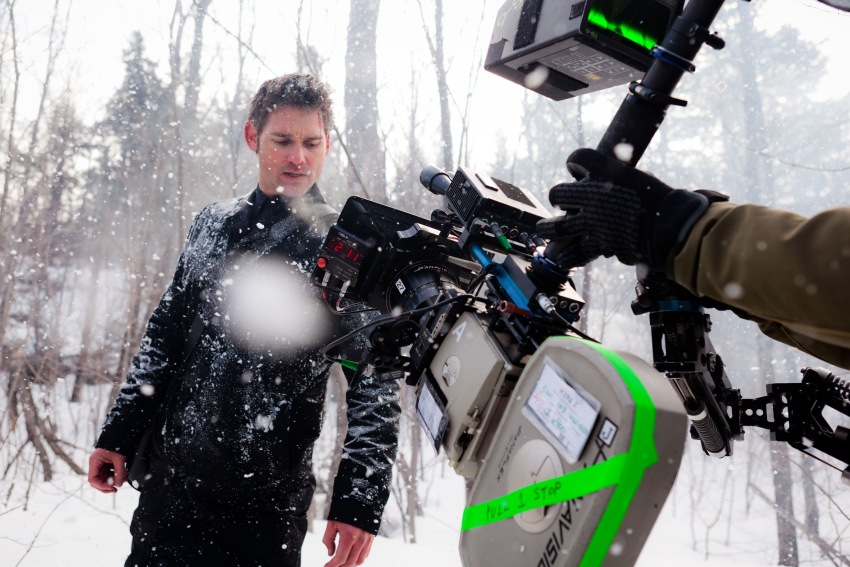 Фото - Черный дрозд: 850x567 / 159.3 Кб