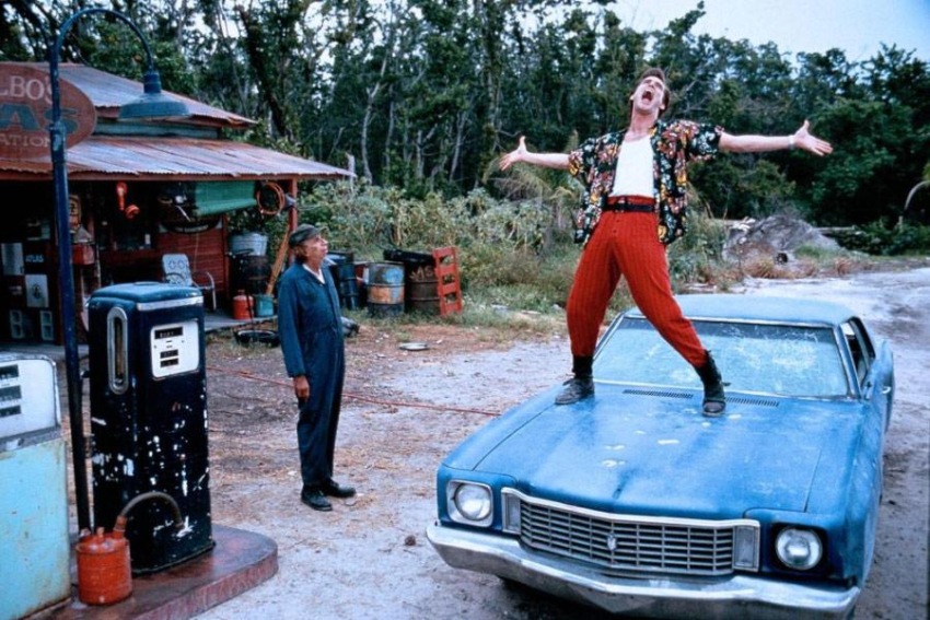 Фото - Эйс Вентура: Розыск домашних животных: 850x567 / 186.71 Кб