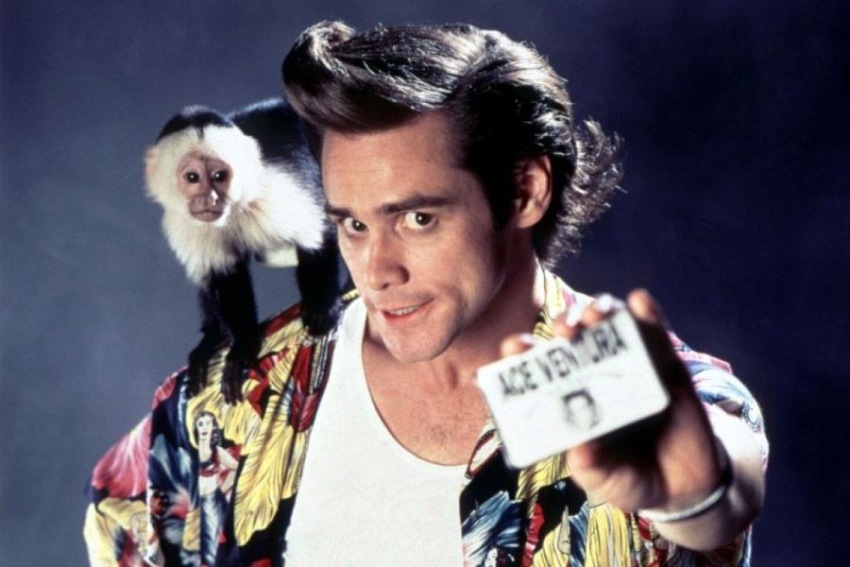 Фото - Эйс Вентура: Розыск домашних животных: 850x567 / 106.16 Кб