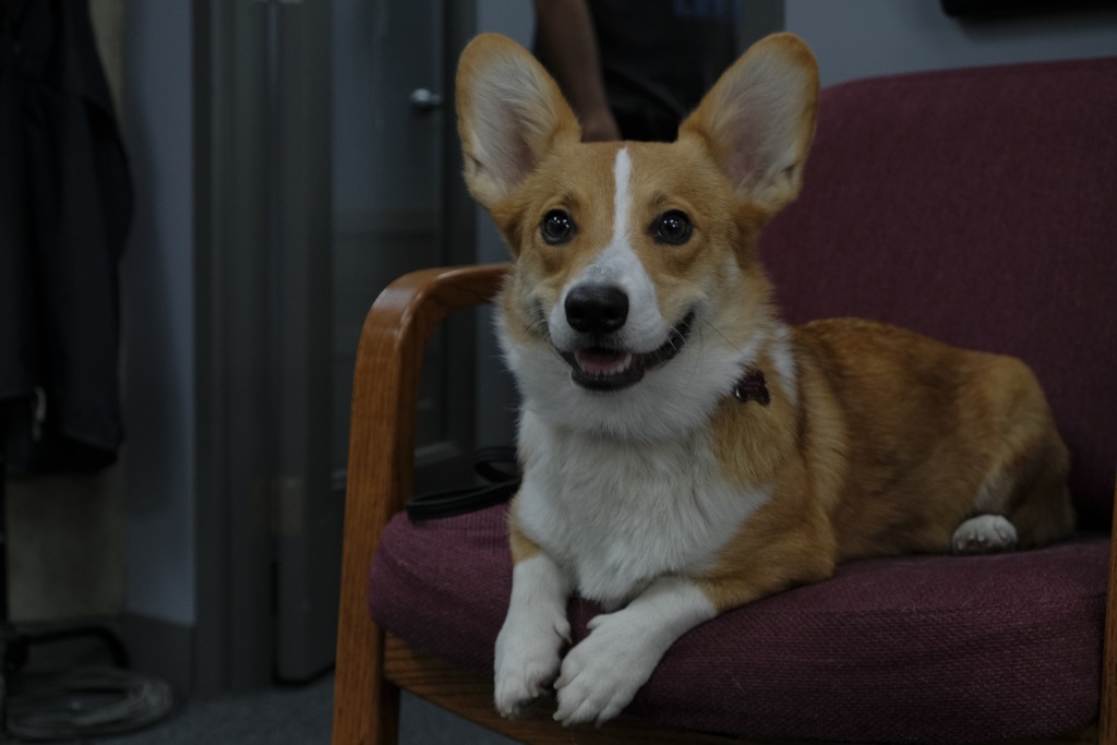 Фото - Холистическое детективное агентство Дирка Джентли: 1024x683 / 120.74 Кб