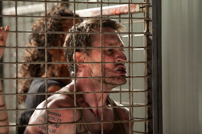 Фото - Коллекционер 2: 850x567 / 168.85 Кб