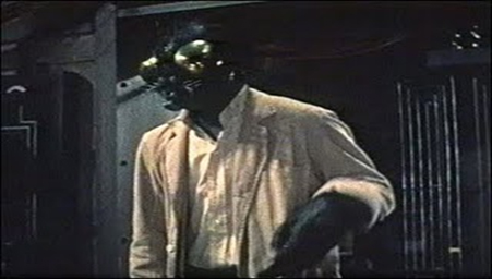 Фото - Муха: 451x256 / 82.26 Кб