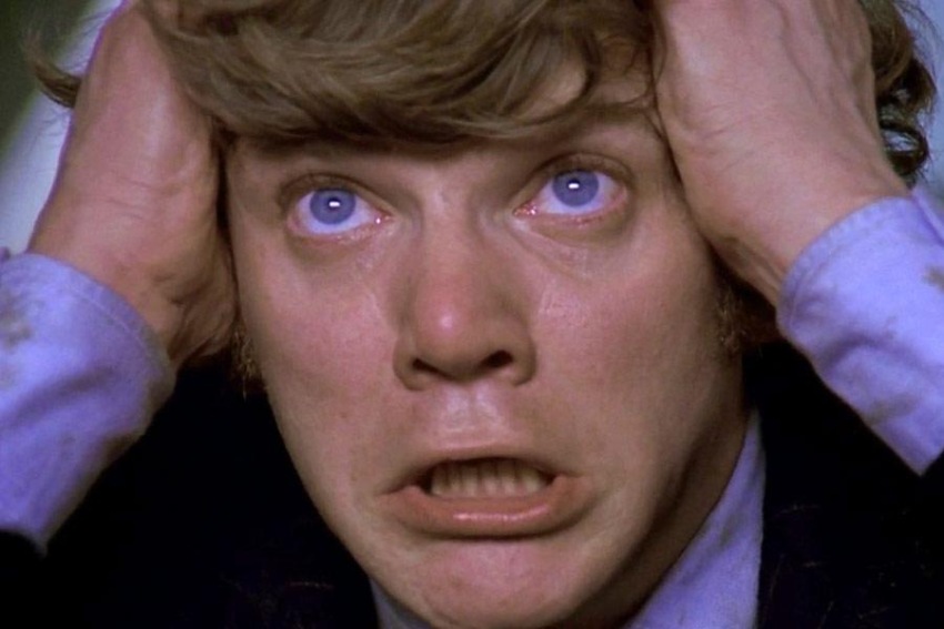 Фото - Заводной апельсин: 850x567 / 84.81 Кб