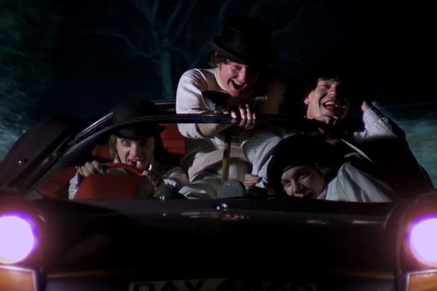 Фото - Заводной апельсин: 850x567 / 67.87 Кб