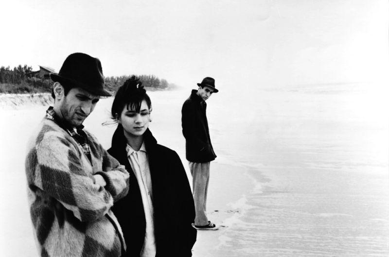 Фото - Более странно, чем в раю: 800x529 / 36.95 Кб