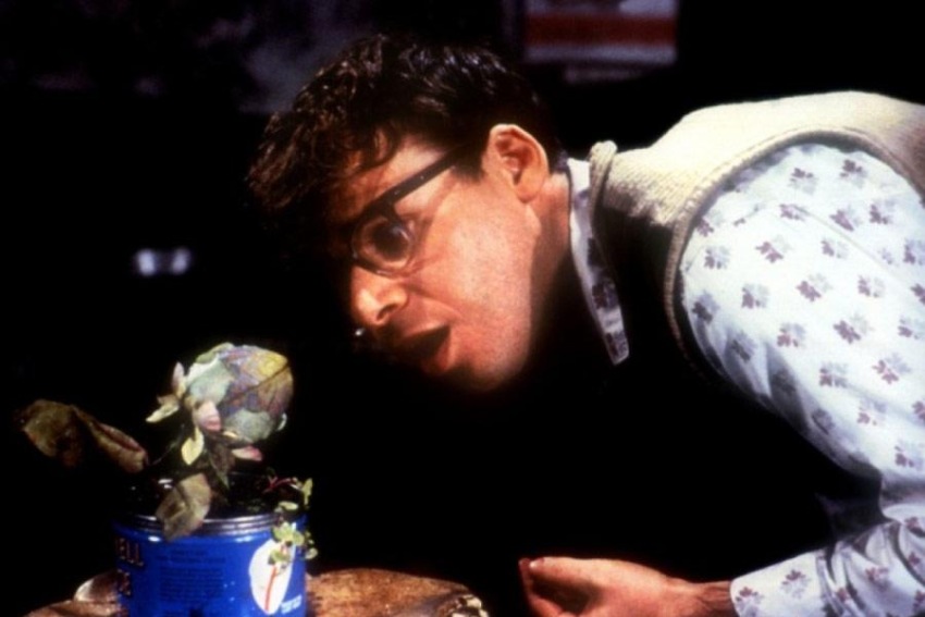 Фото - Магазинчик ужасов: 850x567 / 77.49 Кб