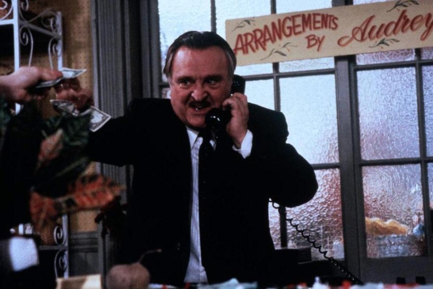 Фото - Магазинчик ужасов: 850x567 / 112.55 Кб