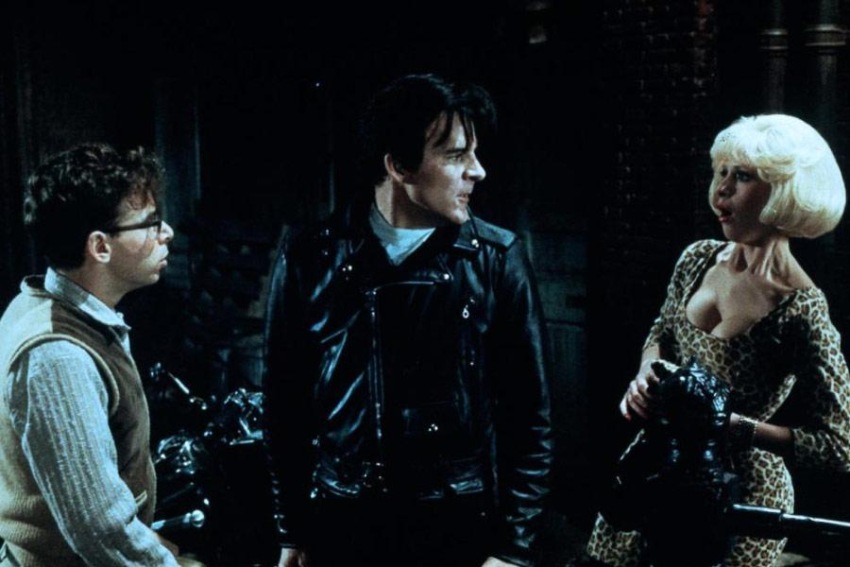 Фото - Магазинчик ужасов: 850x567 / 97.74 Кб