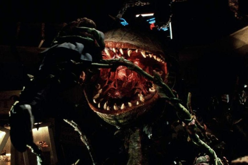 Фото - Магазинчик ужасов: 850x567 / 84.3 Кб