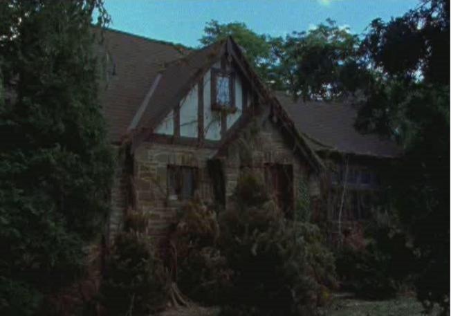 Фото - Мурашки: 652x457 / 44.06 Кб