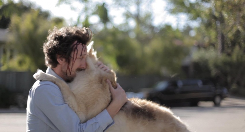 Фото - Wrong: 850x458 / 74.67 Кб