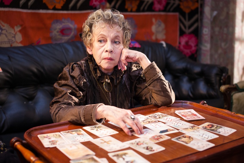 Фото - Елки 1914: 850x567 / 134.4 Кб