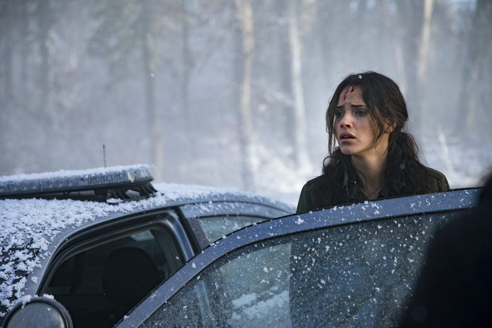 Фото - Изумрудный город: 1000x667 / 145.51 Кб