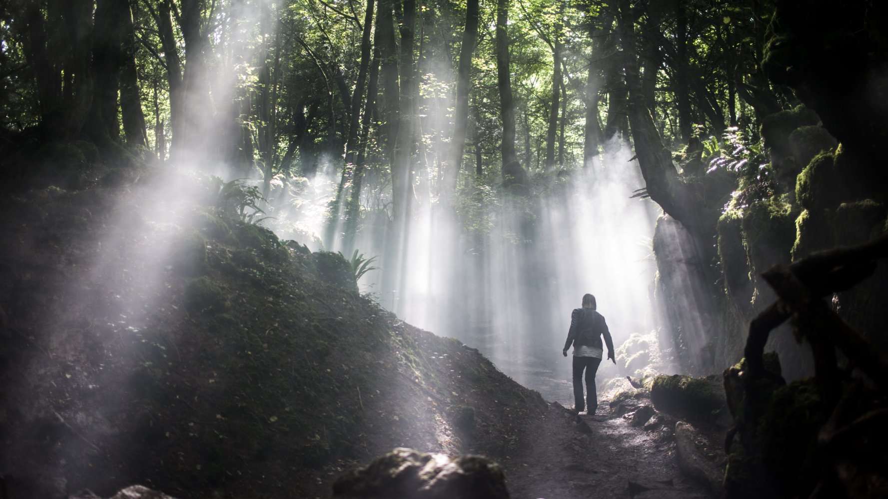 Фото - Не стучи дважды: 1777x999 / 278.27 Кб