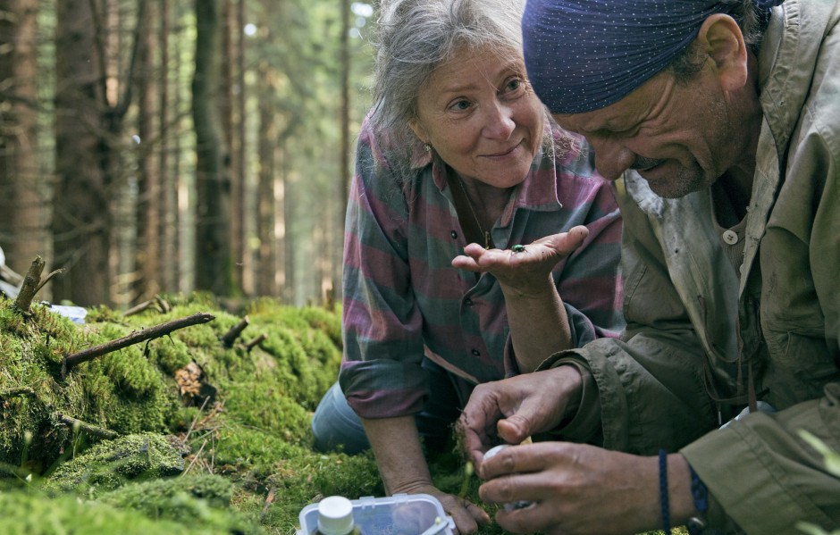 Фото - След зверя: 940x599 / 157.14 Кб