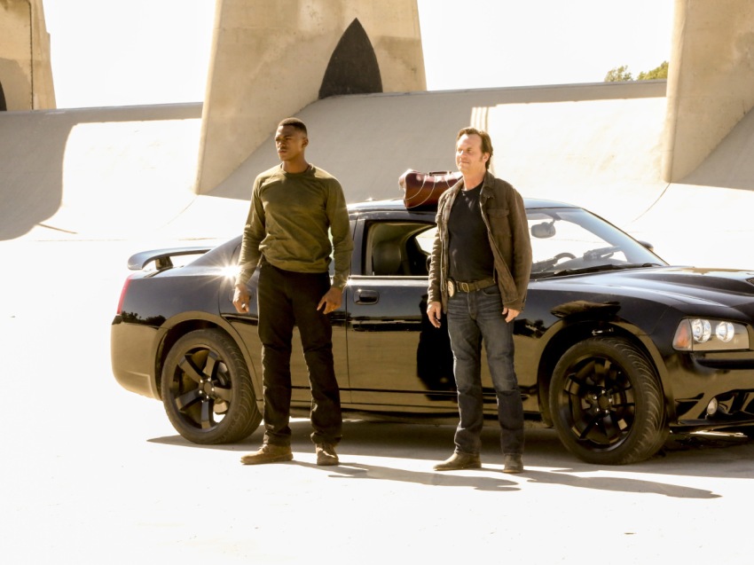 Фото - Тренировочный день: 850x637 / 106.99 Кб