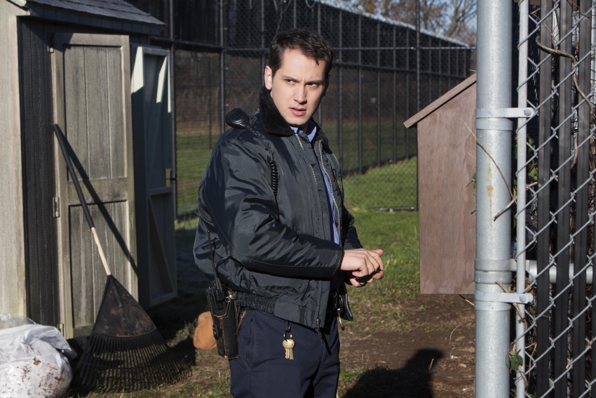 Фото - Оранжевый — хит сезона: 850x567 / 153.54 Кб