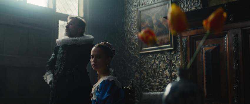 Фото - Тюльпанная лихорадка: 850x356 / 56.83 Кб