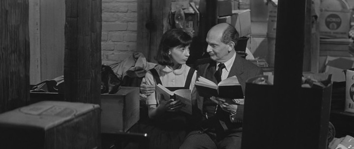 Фото - Дневник Анны Франк: 720x304 / 42.64 Кб