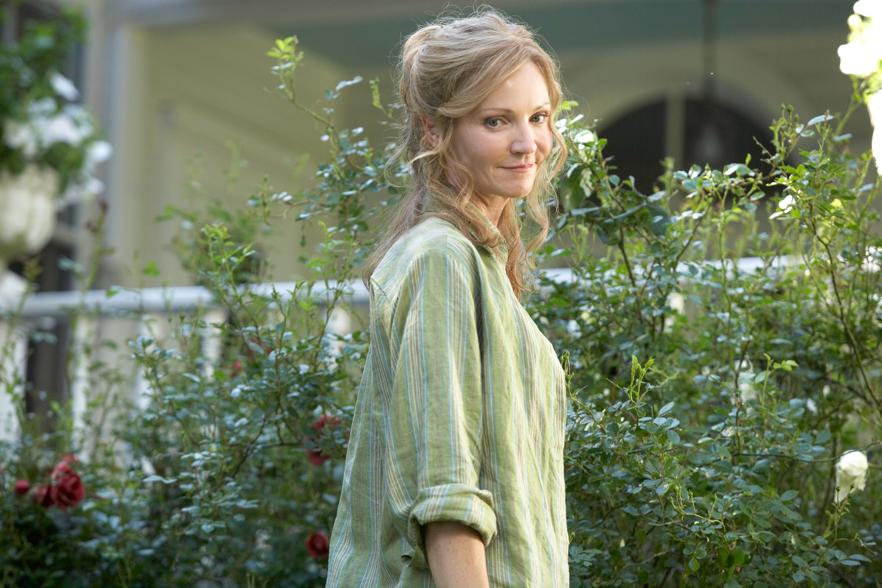 Фото - Хатико: самый верный друг: 3000x2000 / 999.21 Кб