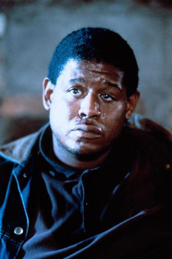 Фото - Жестокая игра: 600x900 / 51.49 Кб