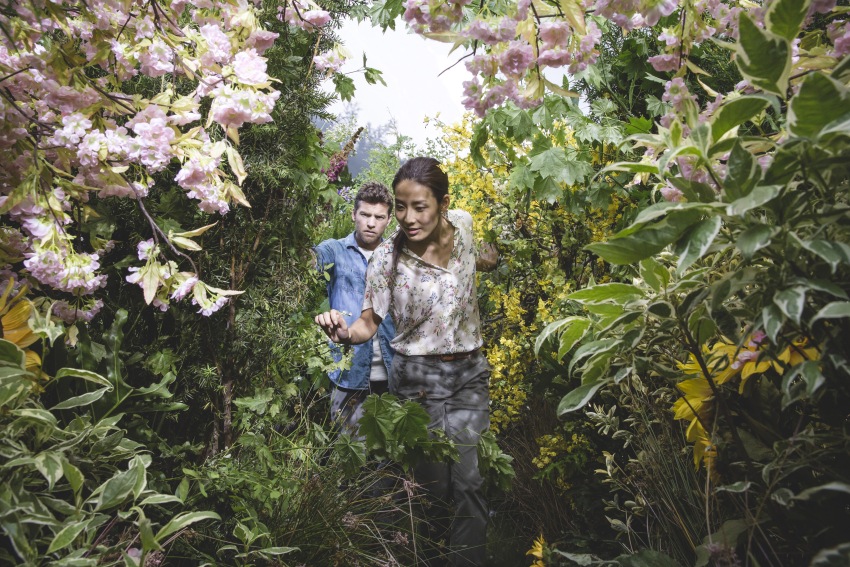 Фото - Хижина: 850x567 / 246.21 Кб