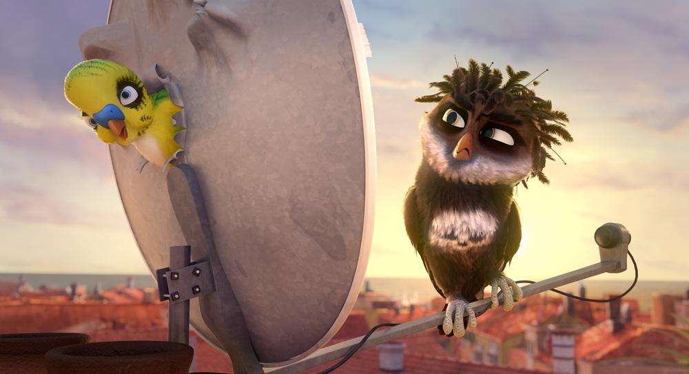 Фото - Трио в перьях: 1000x543 / 50.93 Кб